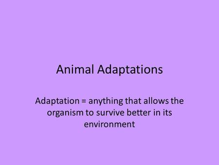 Animal Adaptations Adaptation = anything that allows the organism to survive better in its environment.