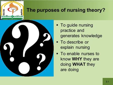 The purposes of nursing theory?