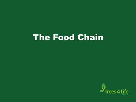 The Food Chain. What is a Food Chain?  A food chain is the path by which energy passes from one living thing to another.