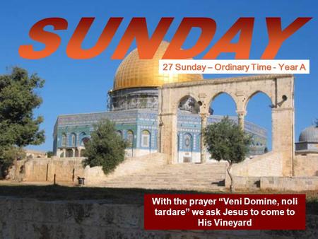 With the prayer “Veni Domine, noli tardare” we ask Jesus to come to His Vineyard 27 Sunday – Ordinary Time - Year A.