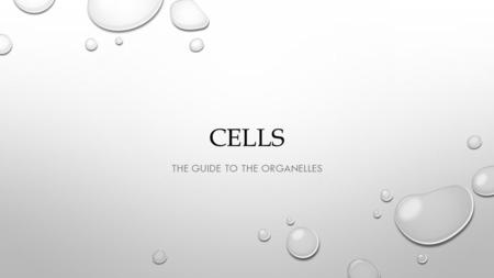 CELLS THE GUIDE TO THE ORGANELLES. Table Of Contents Slide number What is a cell? 1 Nucleus 2 Chromatin 3 Cytoplasm 4 Mitochondria 5 Ribosomes 6 Lysosomes.