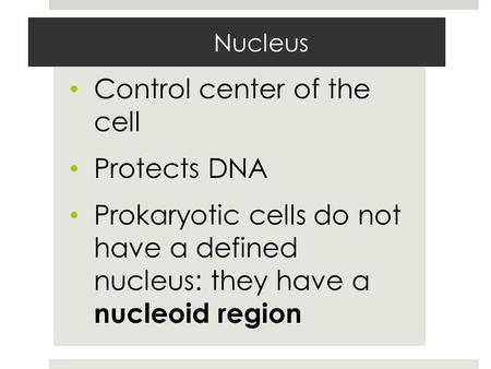 Nucleus Control center of the cell Protects DNA Prokaryotic cells do not have a defined nucleus: they have a nucleoid region.