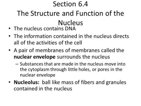 Section 6.4 The Structure and Function of the Nucleus The nucleus contains DNA The information contained in the nucleus directs all of the activities of.