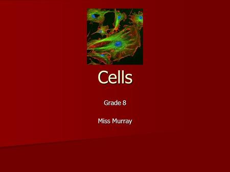 Cells Grade 8 Miss Murray. Review: What does the cell theory say? What does the cell theory say? What is the difference between a unicellular and multicellular.