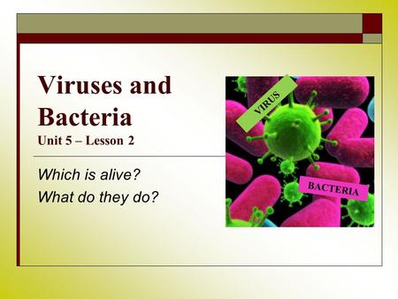 Viruses and Bacteria Unit 5 – Lesson 2 Which is alive? What do they do? VIRUS BACTERIA.