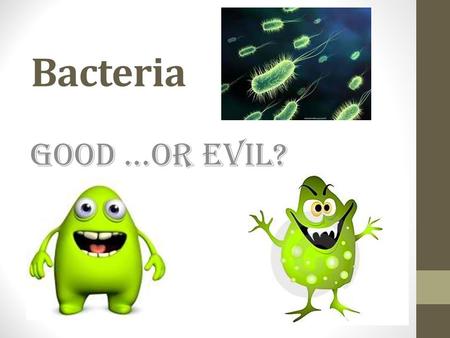 Bacteria Good …or Evil?. What are bacteria? Single-celled organisms that lack a nucleus Prokaryotes – an organism whose cells lack a nucleus and some.