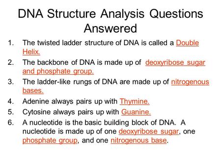 DNA Structure Analysis Questions Answered