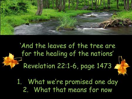 ‘And the leaves of the tree are for the healing of the nations’ Revelation 22:1-6, page 1473 1.What we’re promised one day 2.What that means for now.
