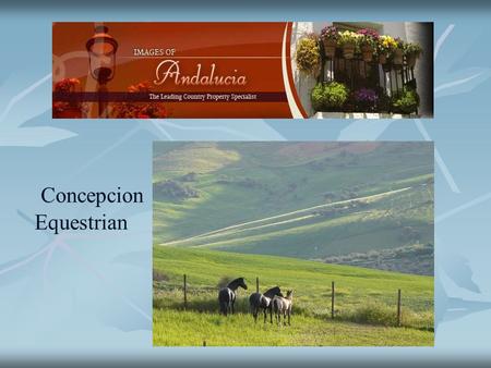 Concepcion Equestrian. An exceptional equestrian property with outstanding views toward El Torcal and the surrounding countryside, with separate guest.