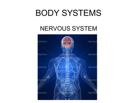 BODY SYSTEMS NERVOUS SYSTEM. Your nervous system controls all your body’s functions. nervous system Your body’s message and control center.