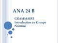 ANA 24 B GRAMMAIRE Introduction au Groupe Nominal.