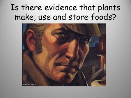 Is there evidence that plants make, use and store foods?