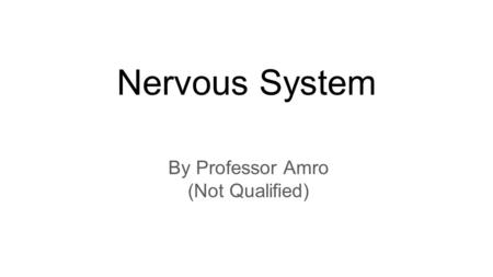 Nervous System By Professor Amro (Not Qualified).