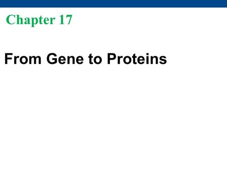Chapter 17 Membrane Structure and Function From Gene to Proteins.