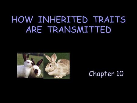 Chapter 10 HOW INHERITED TRAITS ARE TRANSMITTED. Genetics is the science of heredity.