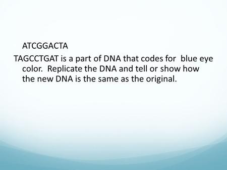 ATCGGACTA TAGCCTGAT is a part of DNA that codes for blue eye color. Replicate the DNA and tell or show how the new DNA is the same as the original.