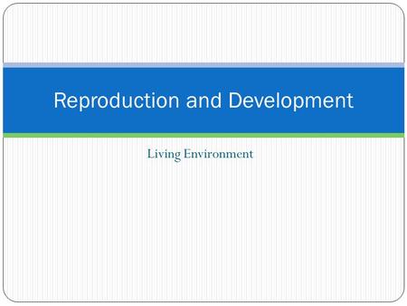 Living Environment Reproduction and Development. A. Two Types of Reproduction AsexualSexual One parent No gametes Involves mitosis only Offspring are.
