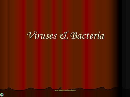 Viruses & Bacteria www.assignmentpoint.com. What are Viruses A virus is a non-cellular particle made up of genetic material and protein that can invade.