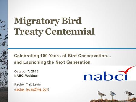 Migratory Bird Treaty Centennial Celebrating 100 Years of Bird Conservation… and Launching the Next Generation October 7, 2015 NABCI Webinar Rachel Fisk.
