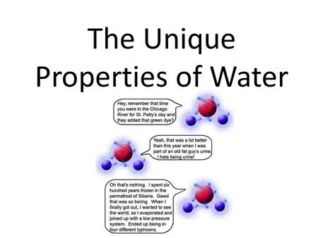 The Unique Properties of Water
