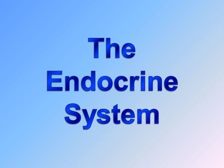 The Endocrine System (the body’s chemical messenger system)