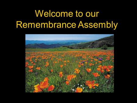Welcome to our Remembrance Assembly. Armistice Day Eleventh hour of the eleventh day of the eleventh month.