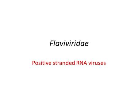 Flaviviridae Positive stranded RNA viruses. Flaviviridae Enveloped virions made up of a lipid bilayer with two or more types of envelope (E) glycoproteins.