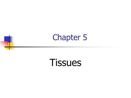 Chapter 5 Tissues. Two or more cell types combined 4 major tissue types Epithelial Connective Muscle Nervous.