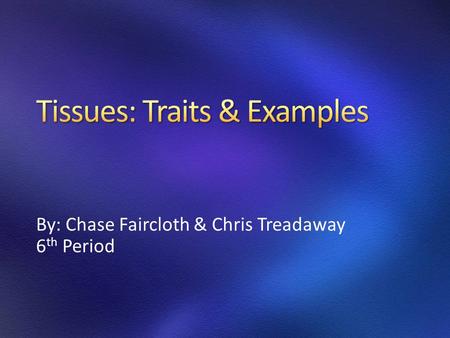 By: Chase Faircloth & Chris Treadaway 6 th Period.