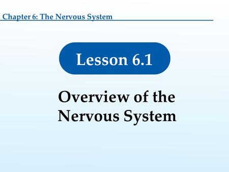 Lesson 6.1 Overview of the Nervous System Chapter 6: The Nervous System.