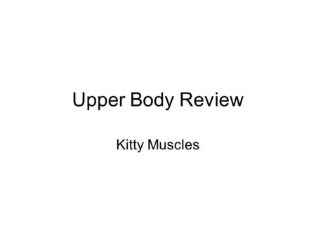 Upper Body Review Kitty Muscles. #1 #2 #3 #4 #5.