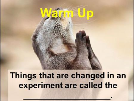 Warm Up Things that are changed in an experiment are called the ___________________.
