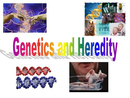 Genetics and Heredity.