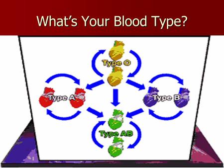 What’s Your Blood Type?. There two distinct chemical molecules present on the surface of the red blood cells. One labeled molecule “A” = Type A and the.