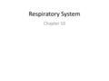 Respiratory System Chapter 10. Function of respiratory system.