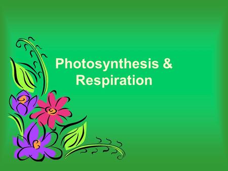 Photosynthesis & Respiration. Overview of photosynthesis and respiration PHOTOSYNTHESIS CELLACTIVITIES RESPIRATION SUN RADIANT ENERGY GLUCOSEATP(ENERGY)