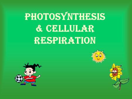 Photosynthesis & Cellular Respiration. What is Photo- synthesis? The process of photosynthesis is a chemical reaction. Producers, or autotrophs, are organisms.