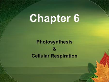 Chapter 6 Photosynthesis & Cellular Respiration. Energy and Living Things.