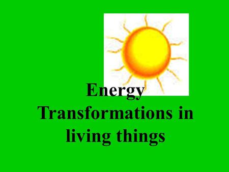 Energy Transformations in living things. Chemical reaction - the change of a substance into a new one that has a different chemical identity. This is.