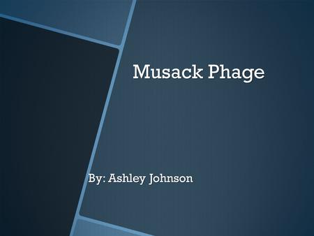 Musack Phage By: Ashley Johnson. Intro o Phage are viruses that infect bacteria o Phage are being looked at with the hope that they can be used to treat.