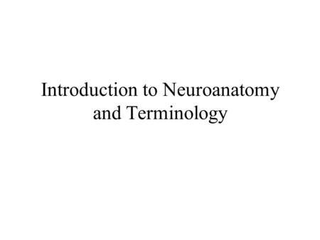 Introduction to Neuroanatomy and Terminology. Main Regions of the Nervous System Two Main Divisions –Central Nervous System –Peripheral Nervous System.