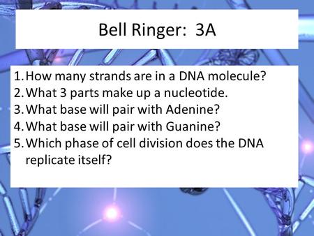 Bell Ringer: 3A 1.How many strands are in a DNA molecule? 2.What 3 parts make up a nucleotide. 3.What base will pair with Adenine? 4.What base will pair.
