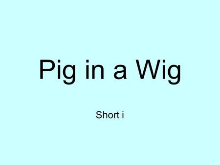 Pig in a Wig Short i. bib u1w2PiginaWig big u1w2PiginaWig.