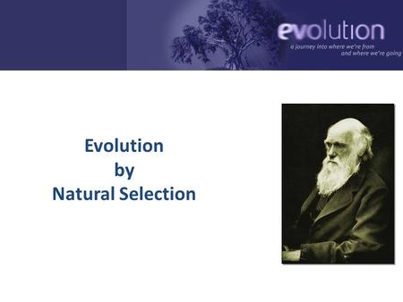 Evolution by Natural Selection 2006-2007 Nothing in biology makes sense except in the light of evolution. -- Theodosius Dobzhansky March 1973 Geneticist,