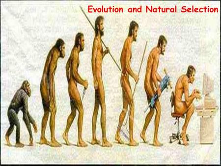 Evolution and Natural Selection. Jean-Baptiste Lamarck 1744-1829 French biologist known for his idea that acquired traits are inheritable.