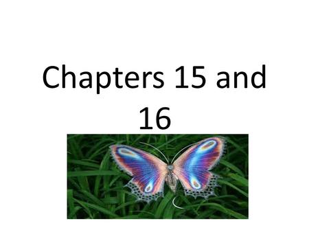 Chapters 15 and 16. Change over time is known as…