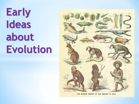 Early Ideas about Evolution. Though Darwin gets much of the credit today for his theory of evolution, he wasn’t the first person to come up with the idea!