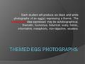 Each student will produce six black and white photographs of an egg(s) expressing a theme. The conceptual idea expressed may be autobiographical, thematic,
