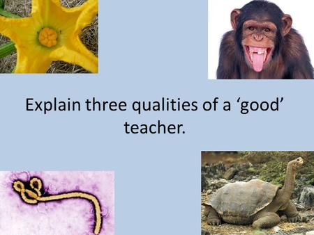 Explain three qualities of a ‘good’ teacher.. The Name Game Get up from your seat and find someone else in the room. Tell them your name and give them.