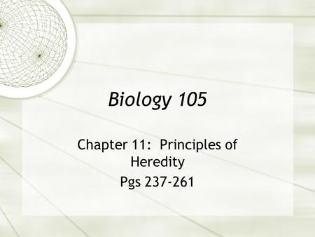 Biology 105 Chapter 11: Principles of Heredity Pgs 237-261.